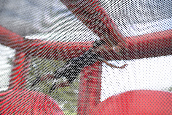 DSC_3242