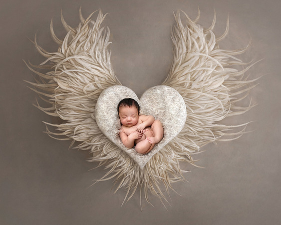 JALEN with Wings