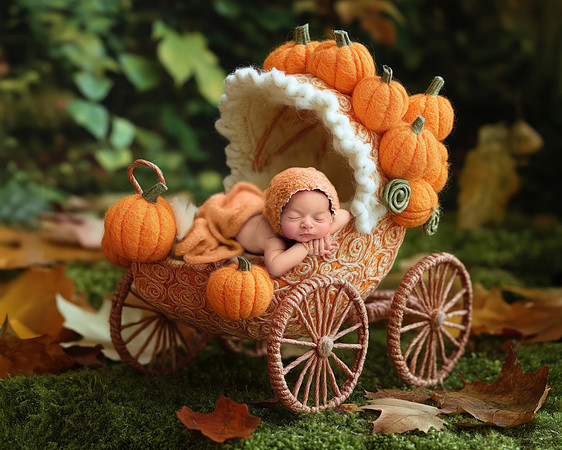 Caitlin Pumpkin Pram