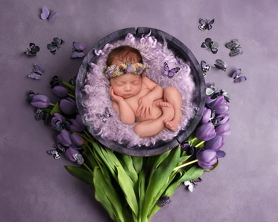 Caitlinbutterflybowl