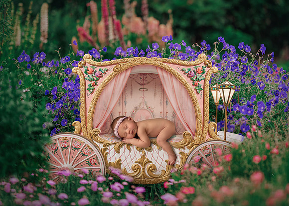 Princess Lillie in a carriage