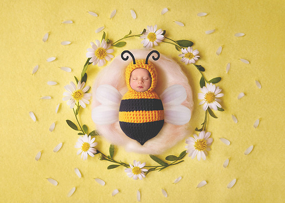 Lillie the Bee